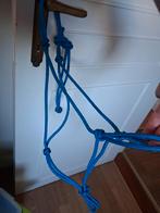 Mooi maat cob, Dieren en Toebehoren, Ophalen of Verzenden