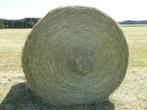 FOIN BIO 2023 SEC EN BOULE 360KGS EMBALLE, Dieren en Toebehoren, Dierenvoeding, Ophalen, Vee