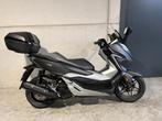 Honda Forza 125 keyless met topcase (bj 2020), Motoren, Motoren | Honda, Scooter, Bedrijf, 125 cc, 11 kW of minder