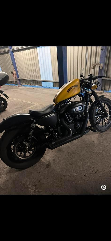 Harley Davidson iron 883 stage 1, Motoren, Motoren | Harley-Davidson, Particulier, Ophalen