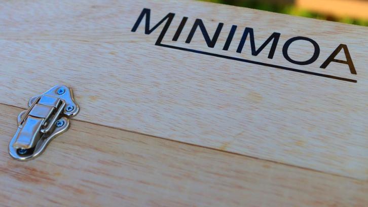 Minimoa, spanwijdte 3,4 meter., Hobby en Vrije tijd, Modelbouw | Radiografisch | Vliegtuigen, Nieuw, Elektro, RTF (Ready to Fly)