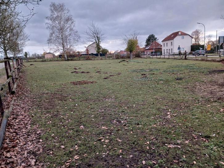 Twee afgespannen weides met schuilstallen en regenopvang, Dieren en Toebehoren, Stalling en Weidegang, Stalling, Weidegang, Accessoires
