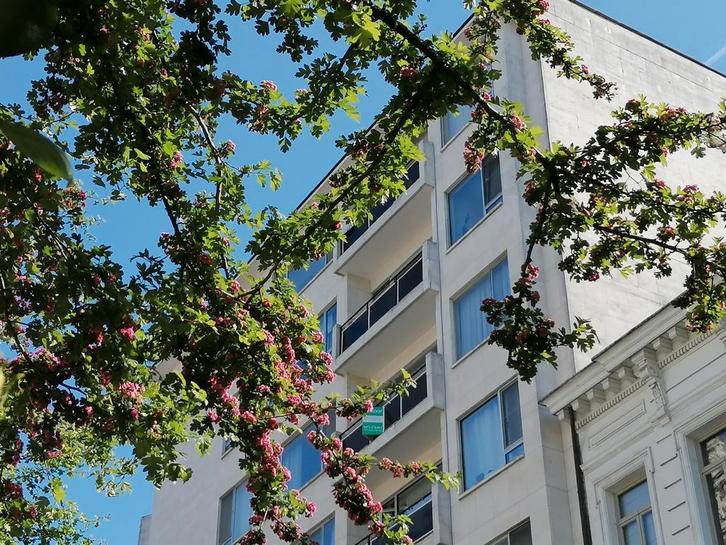 Weldra gerenoveerd appartement in Antwerpen Zuid Museumwijk, Immo, Huizen en Appartementen te koop