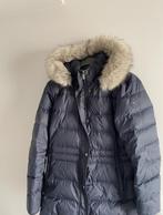 Winterjas Tommy Hilfiger maat L, Ophalen, Zo goed als nieuw, Maat 42/44 (L)