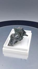 Bergkristal met chloriet Bierghes België 2012 (ref.nr.B04), Ophalen of Verzenden, Mineraal