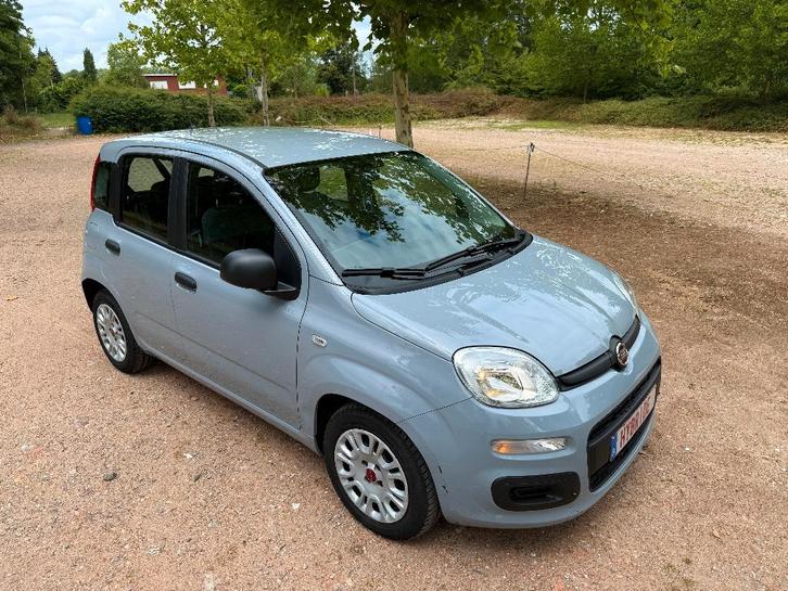 fiat panda, Autos, Fiat, Entreprise, Achat, Panda, Essence, Euro 6, Berline, 5 portes, Boîte manuelle, Argent ou Gris, Gris, Tissu