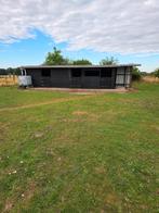 Prairie a louer à quevaucamps avec box pour 1 cheval, Animaux & Accessoires, Box & Pâturages