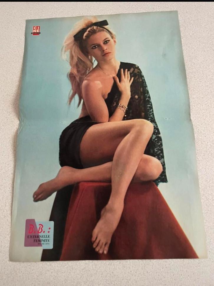Zeldzame poster Brigitte Bardot, Verzamelen, Posters, Zo goed als nieuw, Ophalen of Verzenden