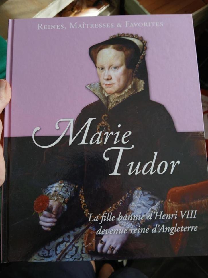 Reines, maîtresses & favourites - snelverkoop!, Boeken, Geschiedenis | Wereld, Nieuw, Europa, Ophalen