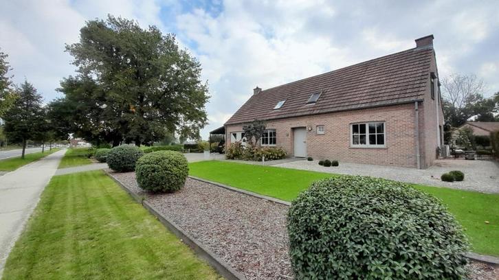 Bree, woning met kantoorruimte en paardenstallen op 64are, Immo, Huizen en Appartementen te koop, Provincie Limburg, 1500 m² of meer