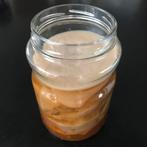Kombucha SCOBY, Ophalen of Verzenden