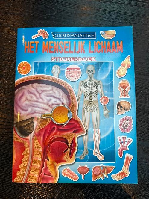 L. Leask - Menselijk lichaam stickerboek, Boeken, Kinderboeken | Jeugd | onder 10 jaar, Nieuw, Ophalen of Verzenden