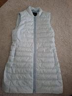 Jas Peuterey, Ophalen of Verzenden, Zo goed als nieuw