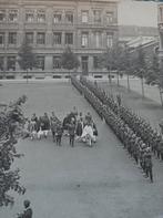 Ras tafari in België, Verzamelen, Ophalen of Verzenden