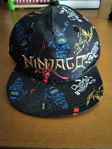 Pet lego ninjago beschikbaar voor biedingen