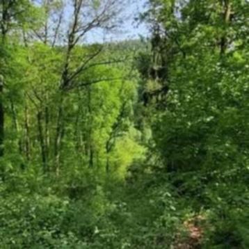 Terrain forestier a Warrempage beschikbaar voor biedingen