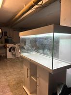 Aqarium, Dieren en Toebehoren, Ophalen, Zo goed als nieuw