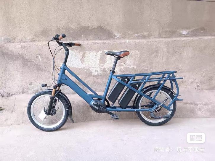 Zelfgebouwde longtail e-bike, Fietsen en Brommers, Elektrische fietsen, Nieuw, Overige merken, 51 tot 55 cm, Minder dan 30 km per accu