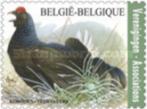 Timbres Belgique Oiseaux Tétras-lyre et Voix du Nord année 2, Gomme originale, Neuf, Autre, Enlèvement ou Envoi