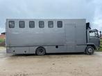 Camion à chevaux 6 chevaux, Animaux & Accessoires, Chevaux & Poneys | Semi-remorques & Remorques, Comme neuf, Enlèvement ou Envoi