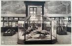 TERVUREN - LOT van 2  - Museum van Belgisch Congo, Ophalen of Verzenden, Voor 1920, Ongelopen, Vlaams-Brabant