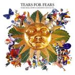 CD - Tears For Fears - Tears Roll Down, Cd's en Dvd's, Ophalen of Verzenden, Zo goed als nieuw, Alternative
