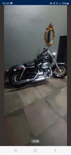 Harley davidson xl sportster 1200 custom, Motos, Pièces | Harley-Davidson