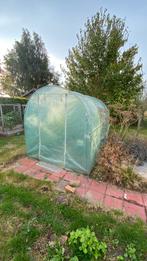 Tunneltent 2m op 3m, Ophalen, Gebruikt, Folie, Kweekkas