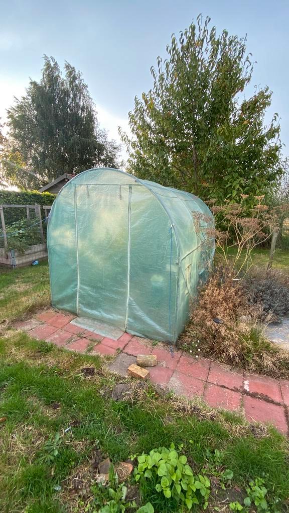 Tunneltent 2m op 3m, Tuin en Terras, Kassen, Gebruikt, Kweekkas, Aluminium, Folie, Ophalen