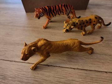 Leeuwin, tijger en Panther. beschikbaar voor biedingen
