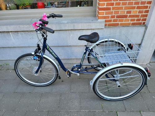 Zeer degelijke electrische driewieler met 125 gereden km, Fietsen en Brommers, Elektrische fietsen, Zo goed als nieuw, Overige merken