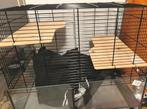 Hamsterkooi met toebehoren, Dieren en Toebehoren, Knaagdieren en Konijnen | Hokken en Kooien, Ophalen, Gebruikt, Kooi, Hamster