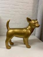 Design hond in goudverf, Ophalen