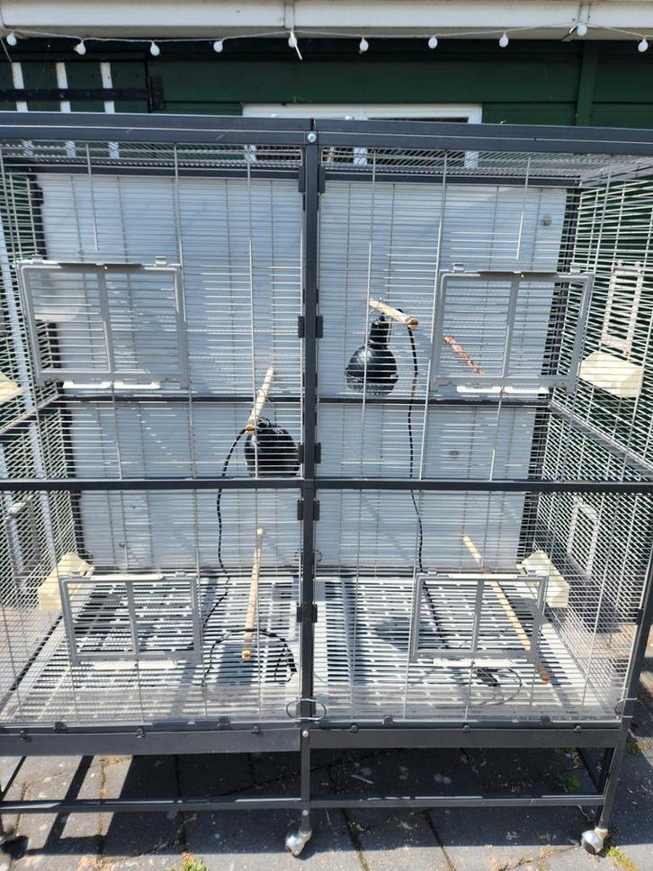 Verrijdbaar volière, Dieren en Toebehoren, Vogels | Hokken en Kooien, Zo goed als nieuw, Volière, Aluminium, Ophalen