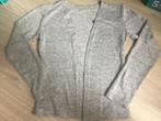Grijs gilet 122-128 lichte glinster GRATIS VERZENDING, Ophalen of Verzenden, Zo goed als nieuw, Meisje, Trui of Vest