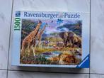 Puzzel Bont Africa Ravensburger 1500st (nr1627), Ophalen of Verzenden, 500 t/m 1500 stukjes, Zo goed als nieuw, Legpuzzel