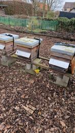 Matériel d'apiculture