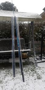 Fishing rods and everything you need., Watersport en Boten, Hengelsport | Witvissen, Ophalen of Verzenden