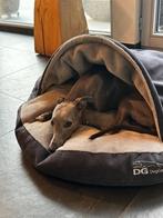 Hondenbed voor windhonden, Dieren en Toebehoren, Ophalen, Zo goed als nieuw