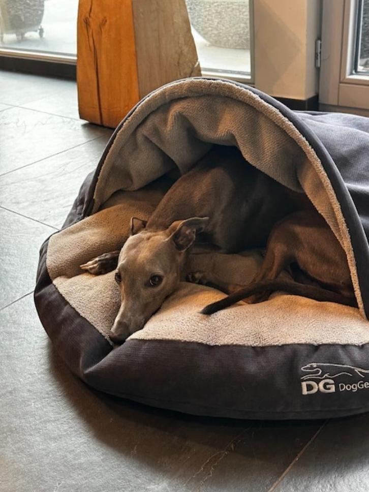 Lit pour chien pour lévriers, Animaux & Accessoires, Paniers pour chiens, Comme neuf, Enlèvement