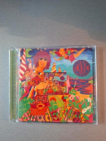 Cd. Boudewijn de Groot. Picknick. Remastered.  beschikbaar voor biedingen