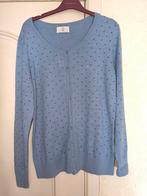 Truitje large, Kleding | Dames, Truien en Vesten, Ophalen of Verzenden