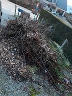 Tuin hout gratis wie wil, Tuin en Terras, Planten | Bomen, Ophalen