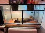 2 Mini Bardagaamen, Dieren en Toebehoren, Ophalen, Zo goed als nieuw