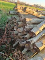 Brandhout Els, Tuin en Terras, Brandhout, Minder dan 3 m³, Ophalen, Elzenhout, Takken