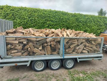 Brandhout  beschikbaar voor biedingen