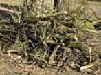 (snoei)hout gratis, Tuin en Terras, Ophalen