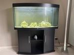 Aquarium JUWEL VISION vision 260 liter led:, Dieren en Toebehoren, Ophalen, Zo goed als nieuw, Gevuld zoetwateraquarium