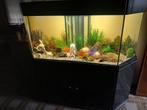 Zeeaquarium word gebruikt als zoetwater aquarium 800l, Ophalen, Gebruikt