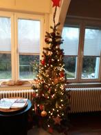 Kerstboom, Diversen, Kerst, Ophalen, Zo goed als nieuw